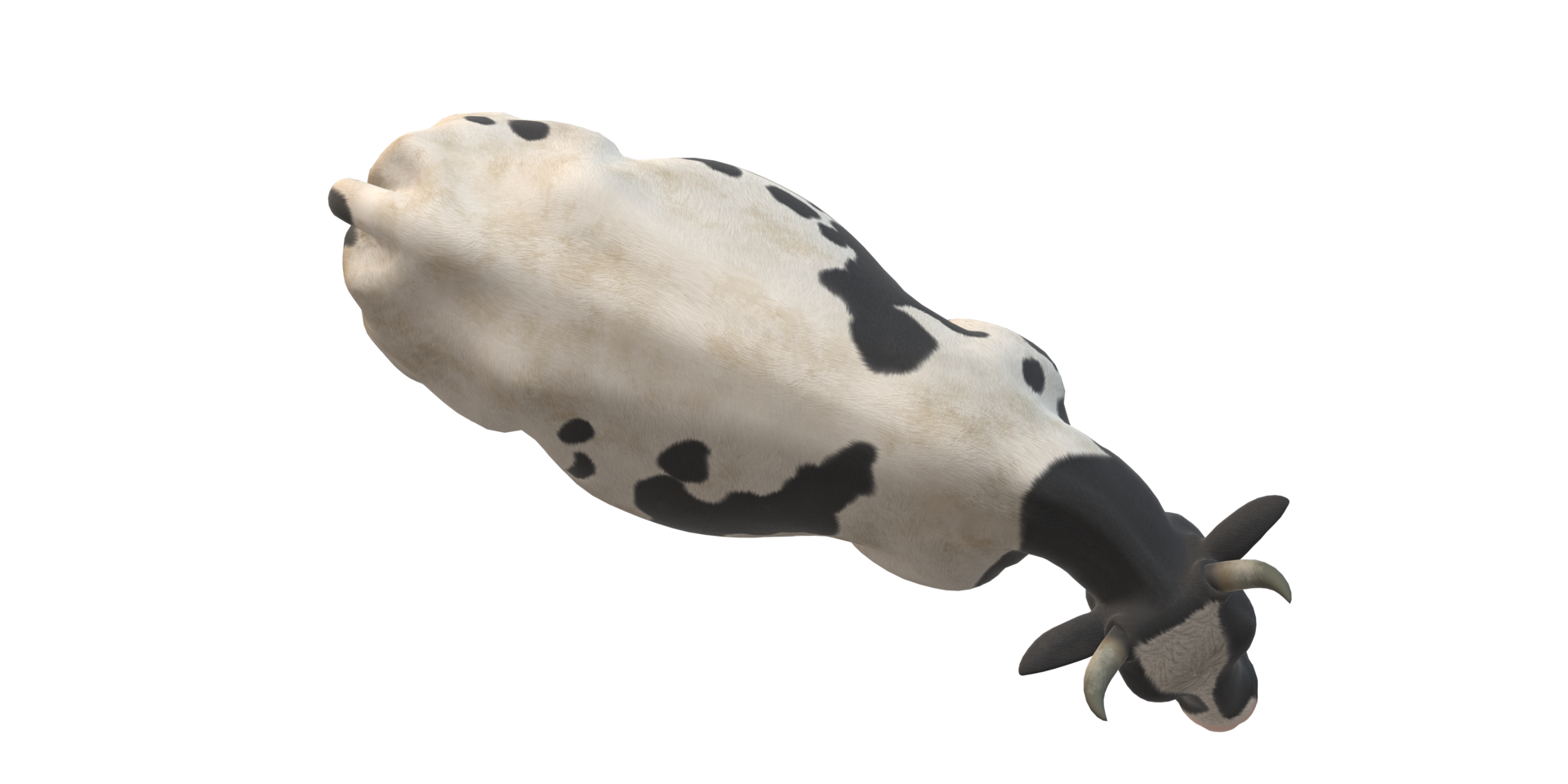 Cow isolated on a Transparent Background png