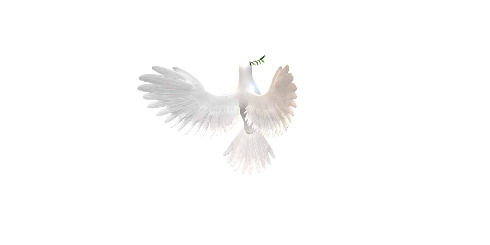 Peace Dove isolated on a Transparent Background png