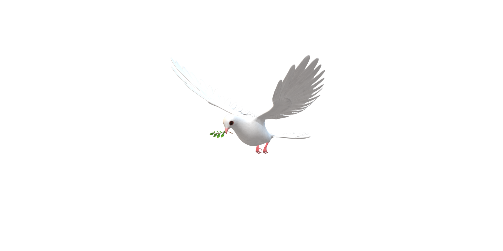 Peace Dove isolated on a Transparent Background png