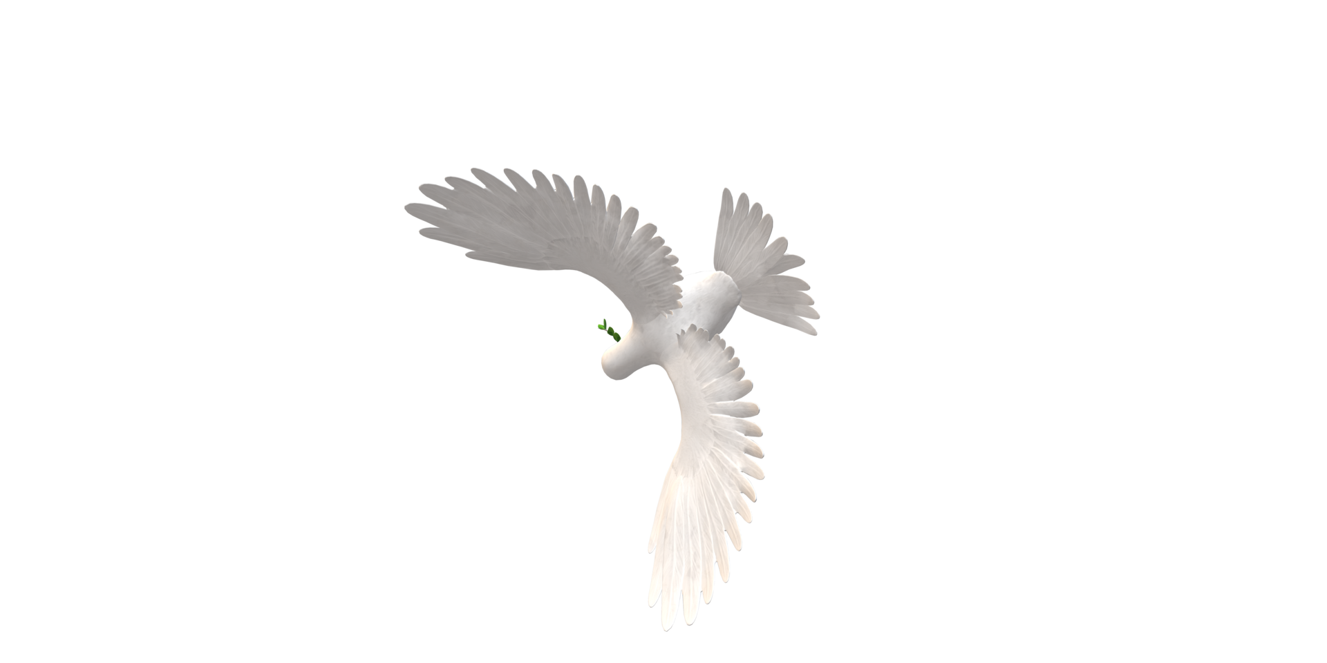 Peace Dove isolated on a Transparent Background png