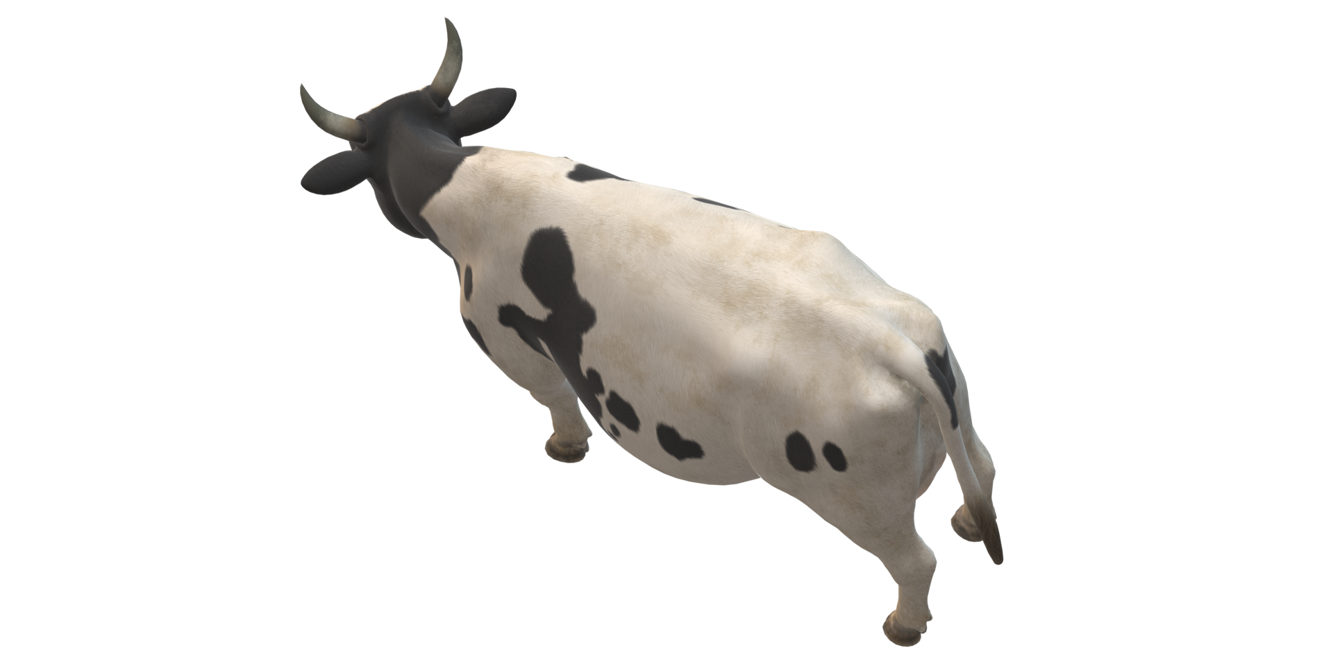 Cow isolated on a Transparent Background png