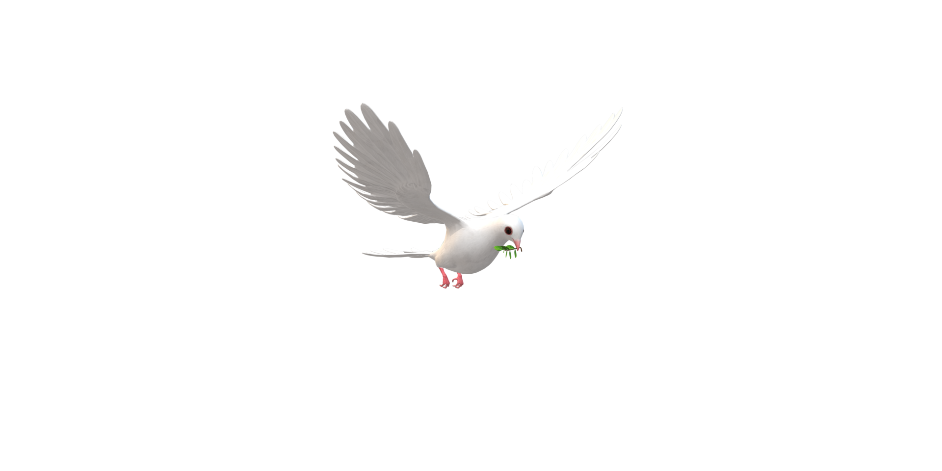 Peace Dove isolated on a Transparent Background png