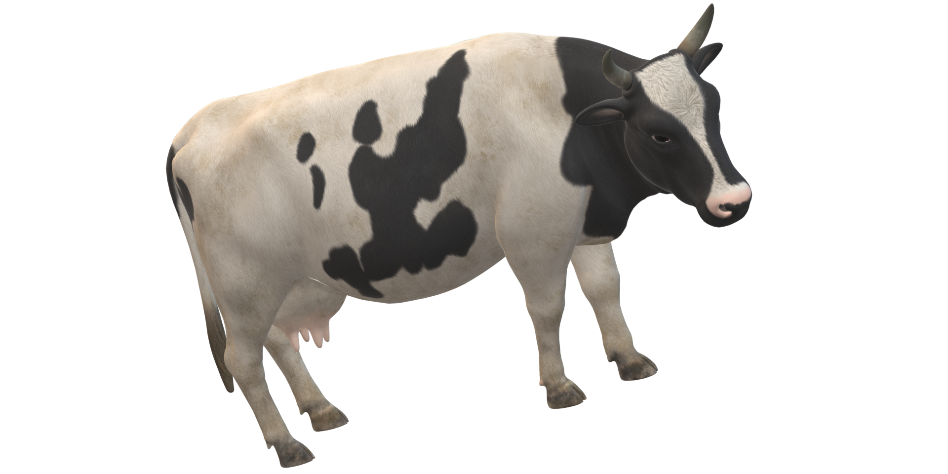 ai generativ ko isolerat på en transparent bakgrund png