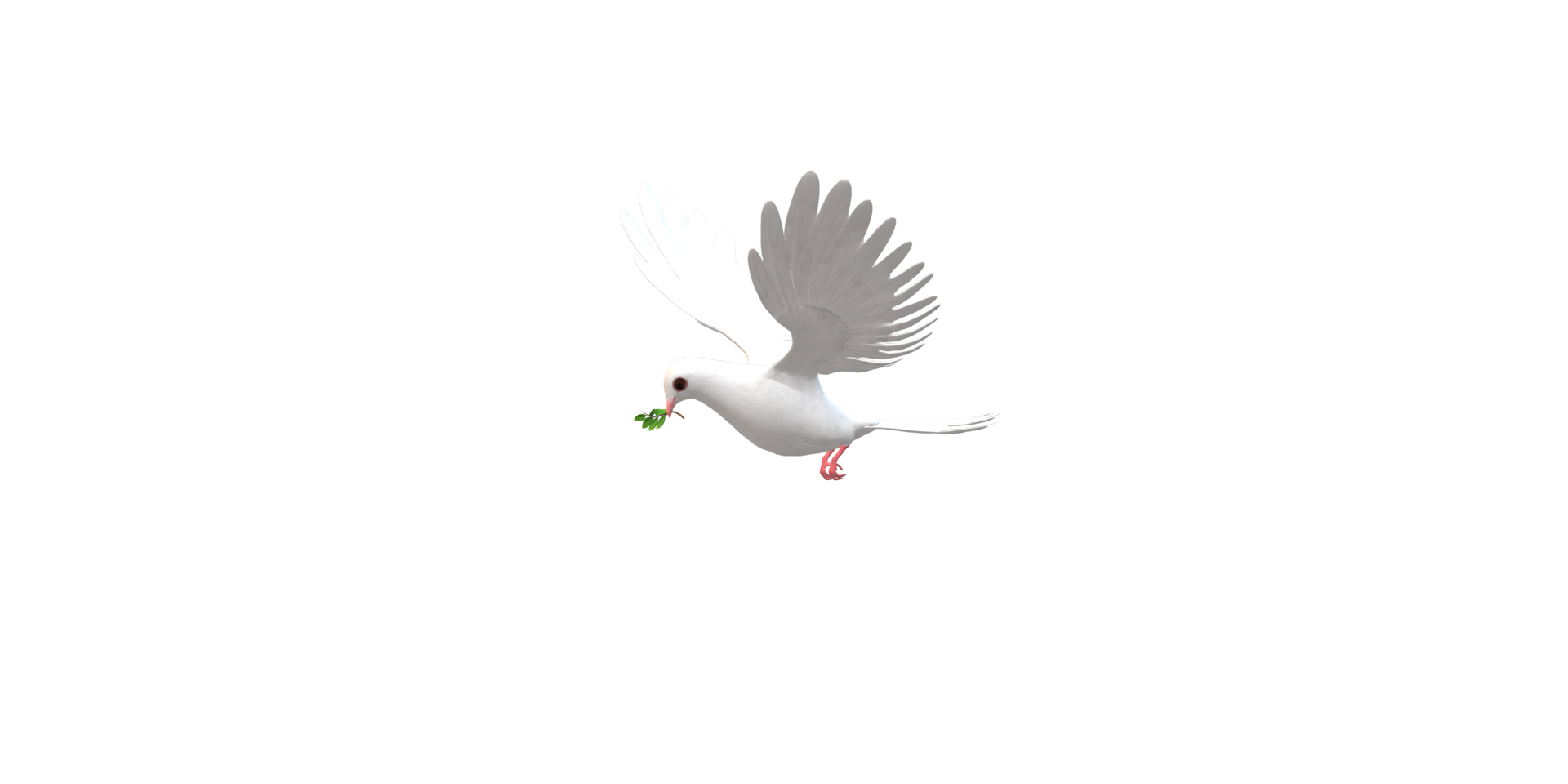 Peace Dove isolated on a Transparent Background png