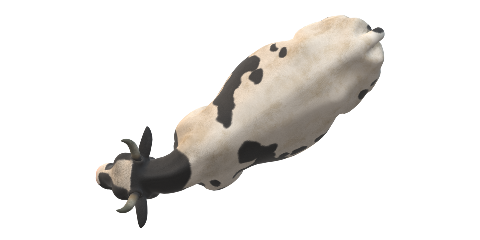 Cow isolated on a Transparent Background png