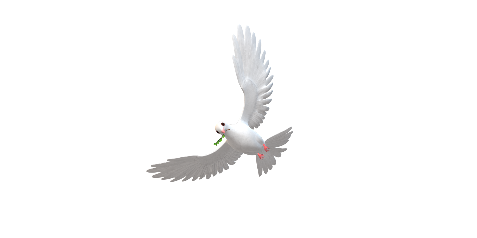 Peace Dove isolated on a Transparent Background png
