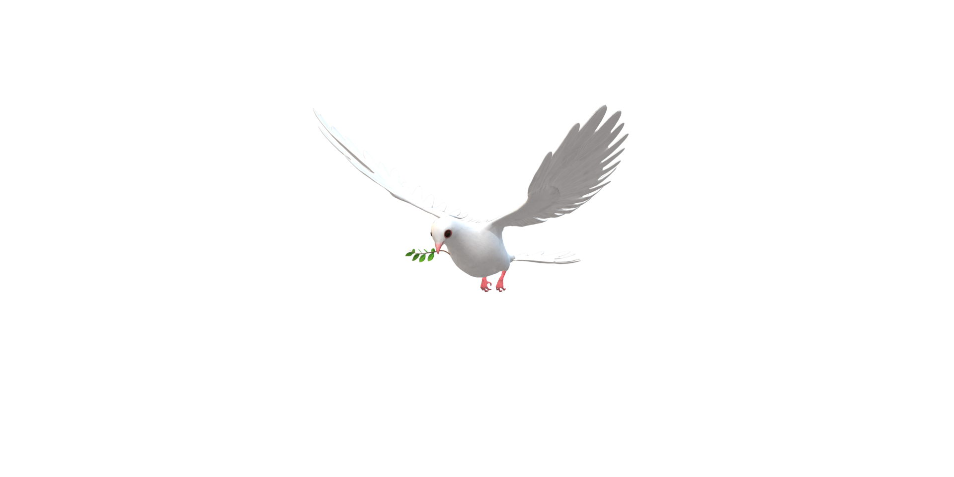 Peace Dove isolated on a Transparent Background png