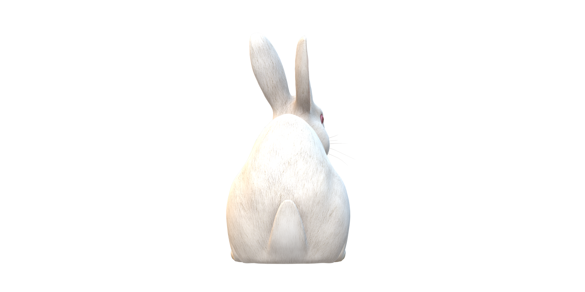 Rabbit isolated on a Transparent Background png