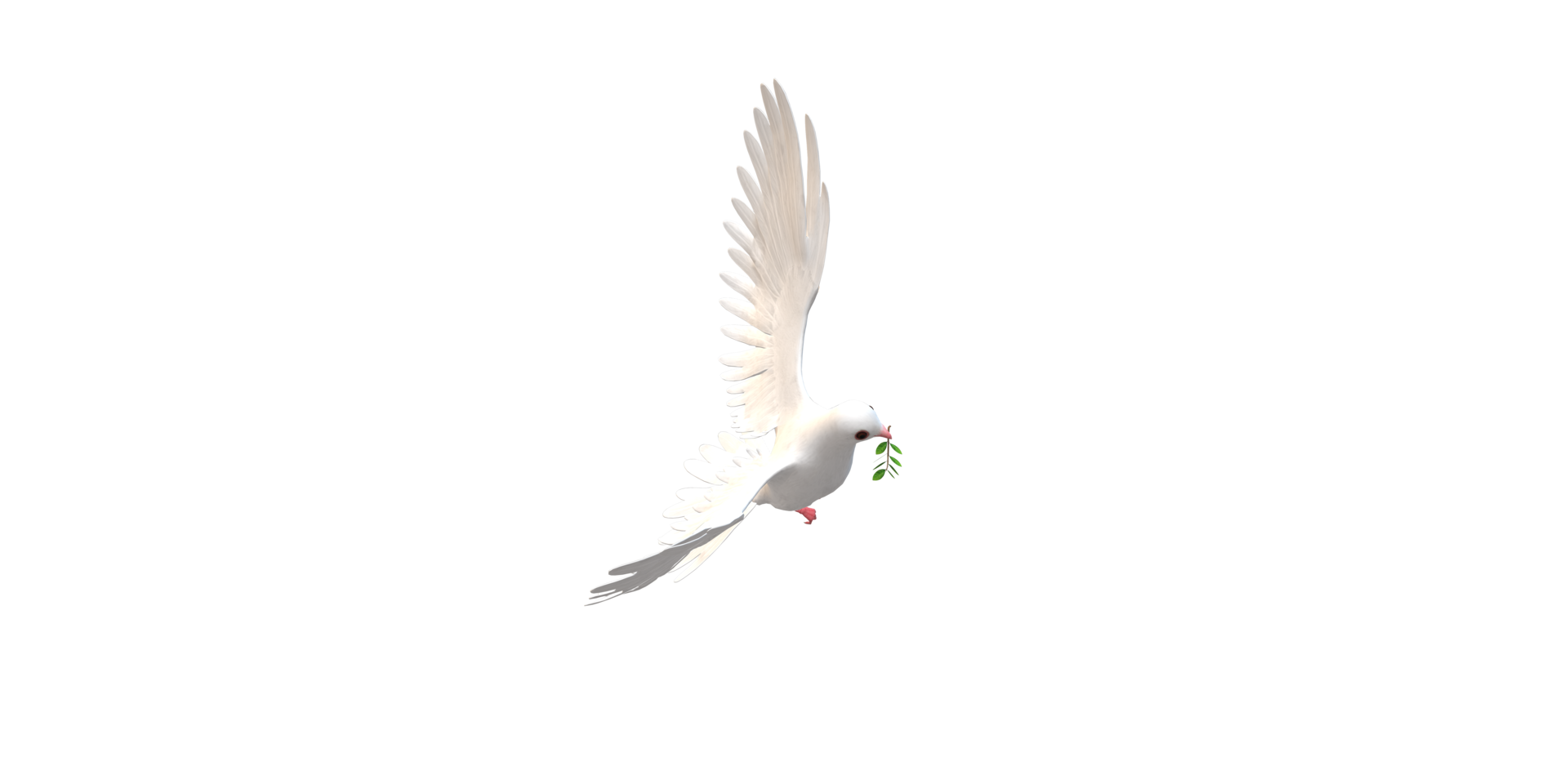 Peace Dove isolated on a Transparent Background png