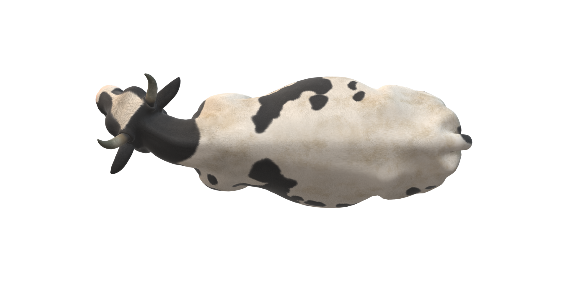 Cow isolated on a Transparent Background png