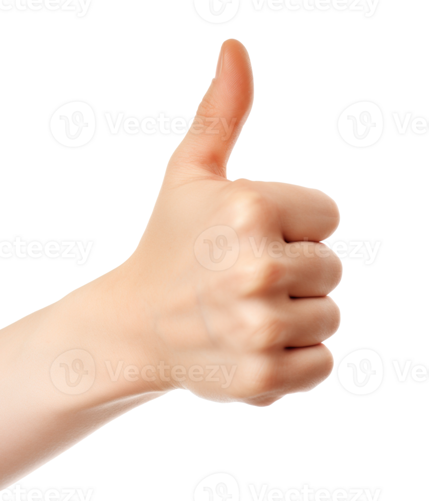 Realistic thumb up hand gesture on transparent background, as PNG. Like. Good feedback, positive reaction. Validation and approval. Generative AI. png