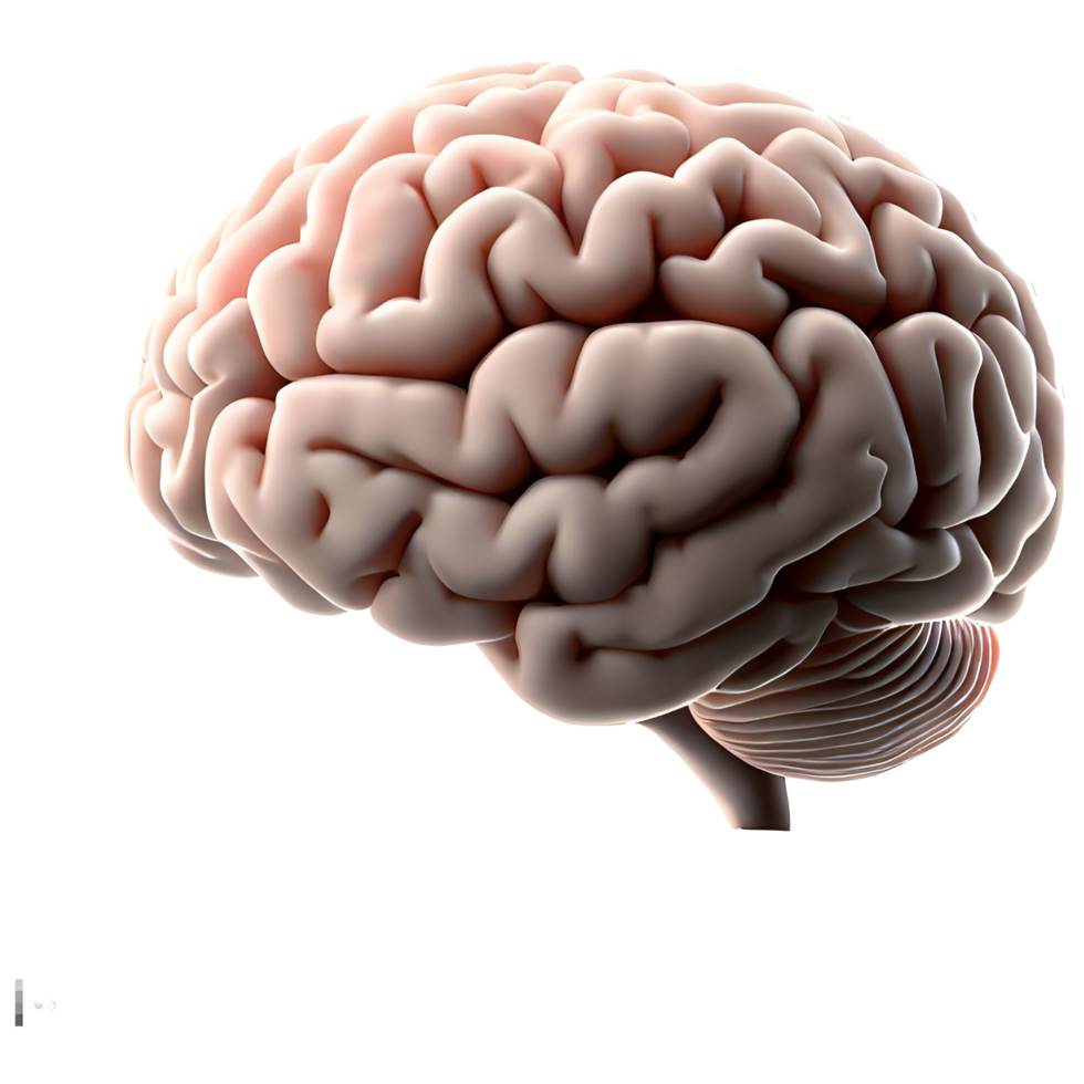 neurociência e cérebro tecnologia humano cérebro ilustração png