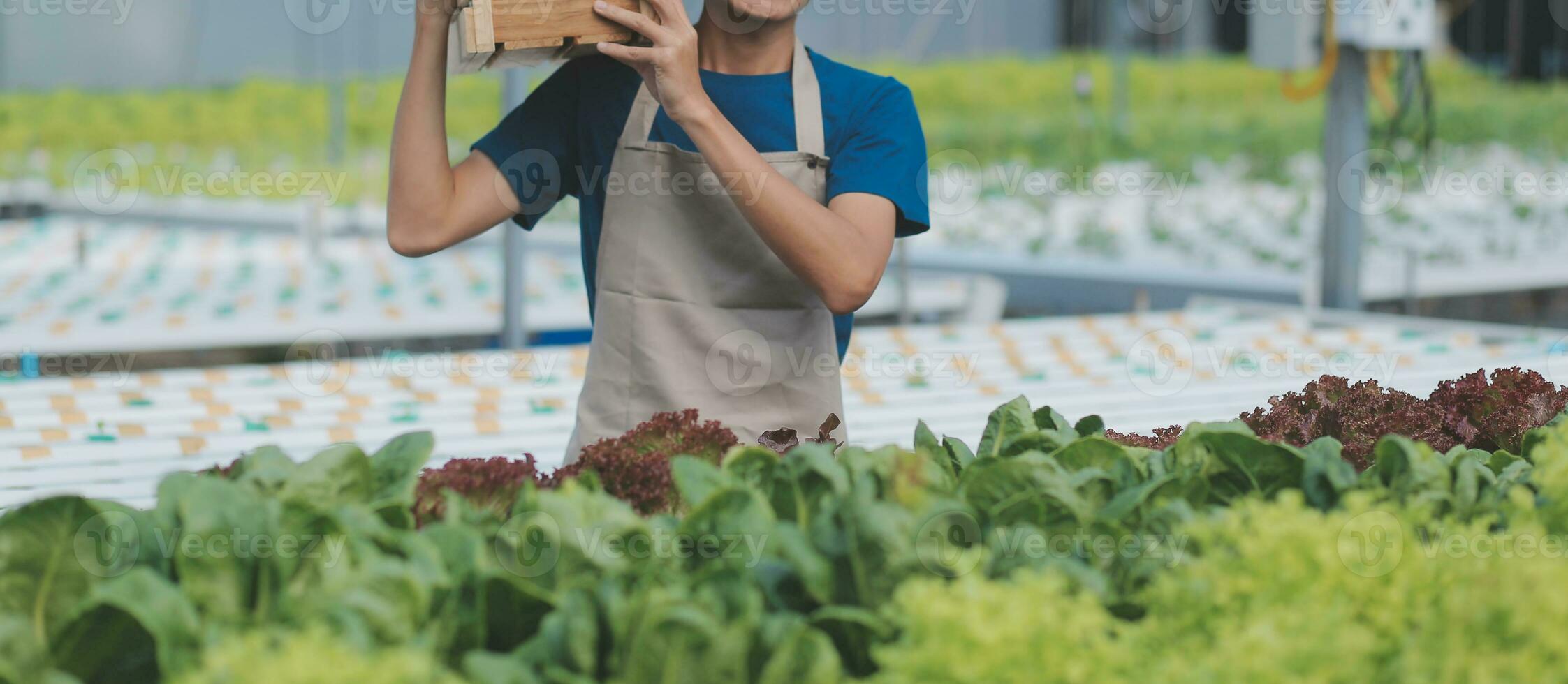 View of an attractive farmer in a greenhouse using tablet photo