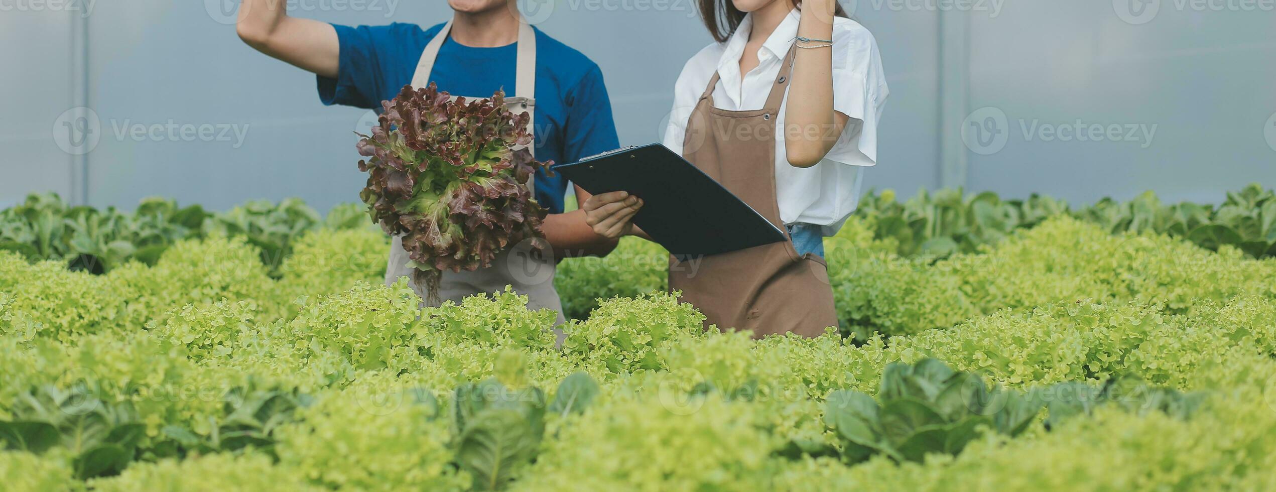 View of an attractive farmer in a greenhouse using tablet photo