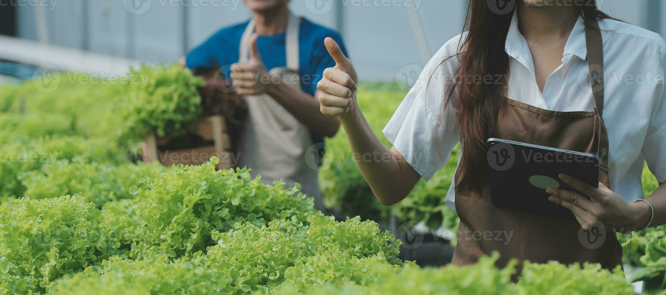 View of an attractive farmer in a greenhouse using tablet photo