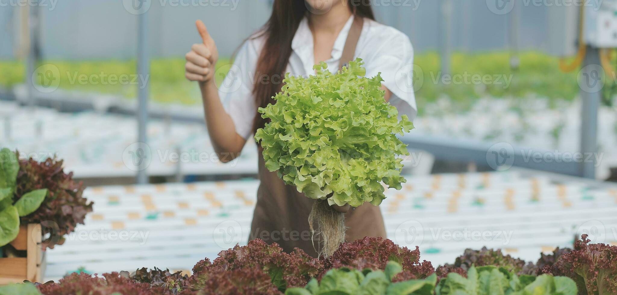 View of an attractive farmer in a greenhouse using tablet photo