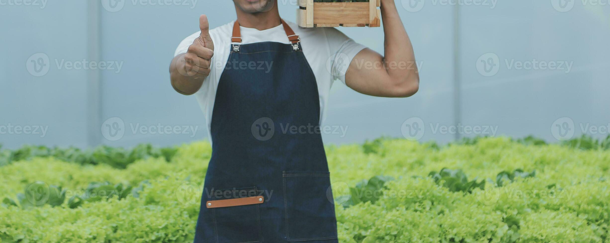joven asiático mujer y mayor hombre granjero trabajando juntos en orgánico hidropónico ensalada vegetal granja. moderno vegetal jardín propietario utilizando digital tableta inspeccionar calidad de lechuga en invernadero jardín. foto