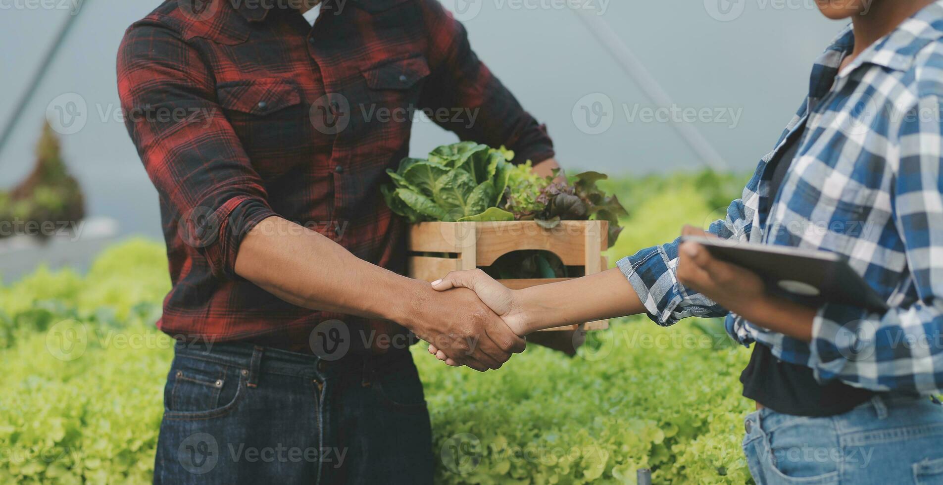 Young Asian woman and senior man farmer working together in organic hydroponic salad vegetable farm. Modern vegetable garden owner using digital tablet inspect quality of lettuce in greenhouse garden. photo