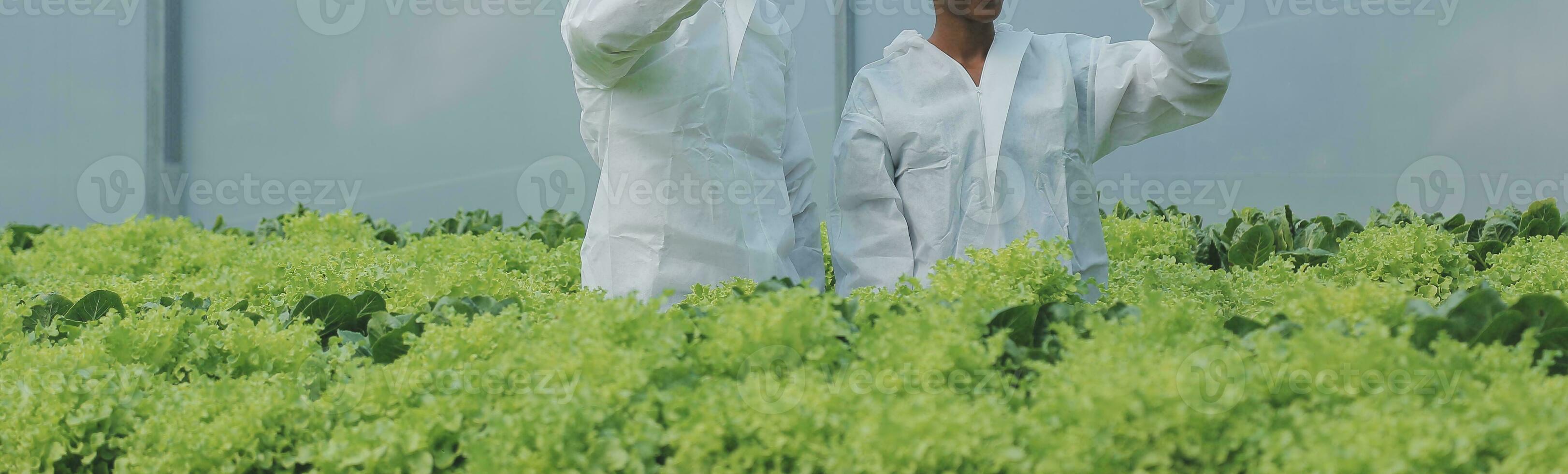 orgánico granja ,obrero pruebas y recoger ambiente datos desde bok choy orgánico vegetal a invernadero granja jardín. foto