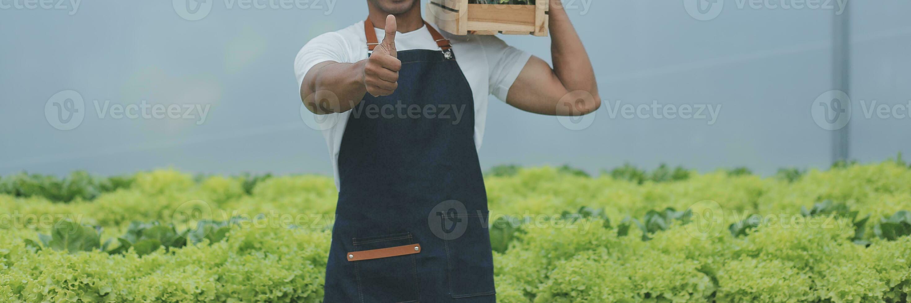 Organic farm ,Worker testing and collect environment data from bok choy organic vegetable at greenhouse farm garden. photo