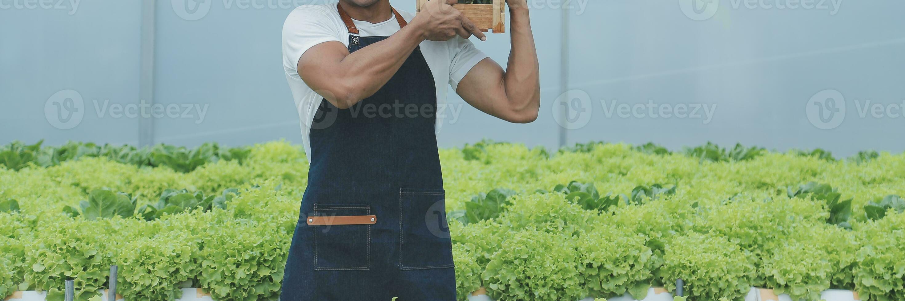 Organic farm ,Worker testing and collect environment data from bok choy organic vegetable at greenhouse farm garden. photo