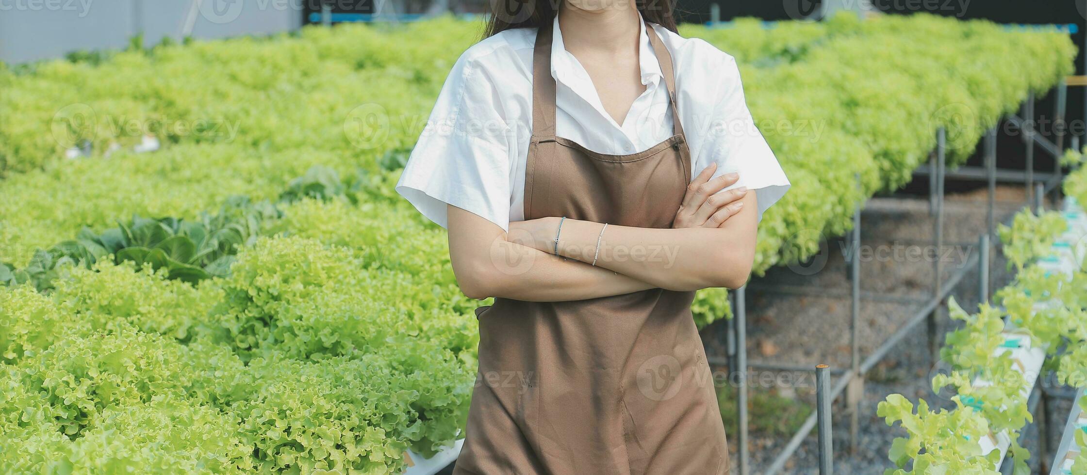 Researchers in hydroponic vegetable gardens are collecting samples to test vegetables grown from research water and examining the water used for growing hydroponic vegetables on the farm. photo