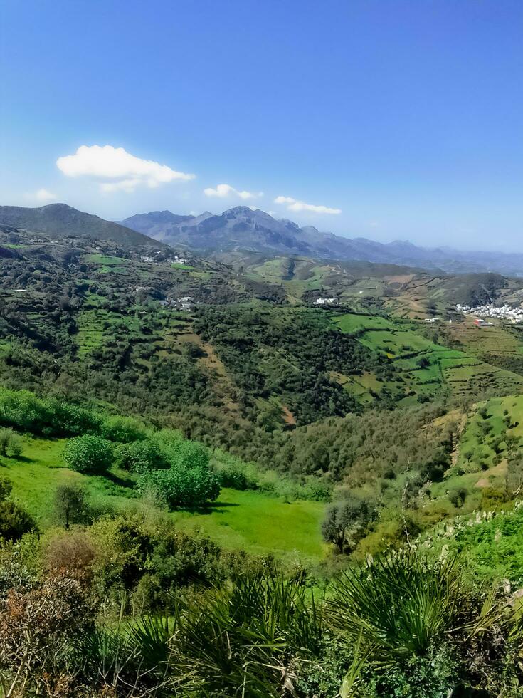 naturaleza de el campo y sus granjas foto