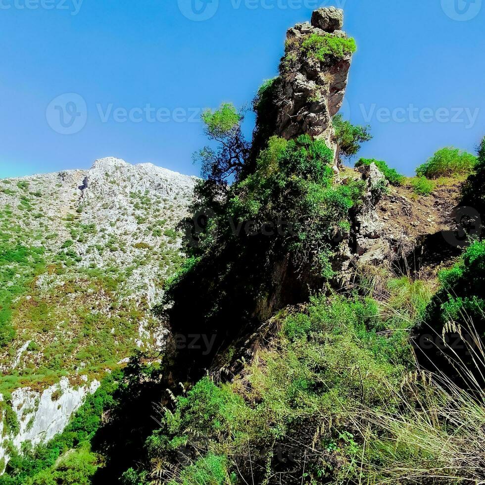 Hill top in mountainous nature photo