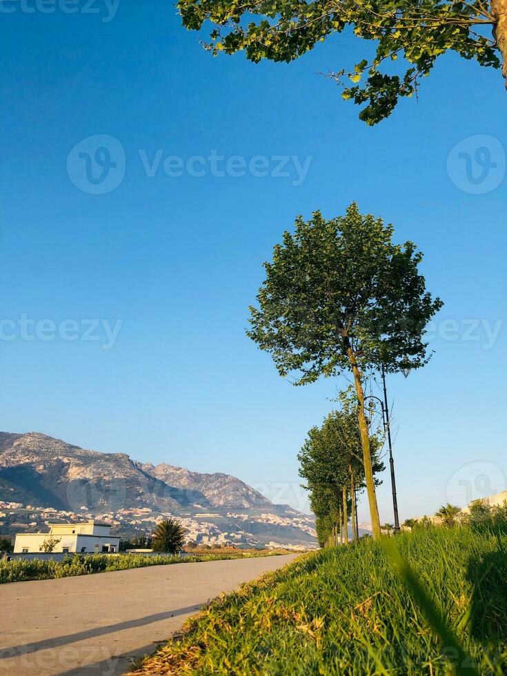 Journey along the walkway in front of the majestic mountain while exploring the great outdoors photo