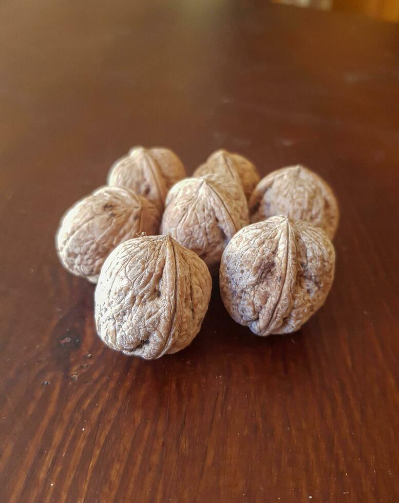 A view of walnut seeds a journey in cultivation and nutrition photo