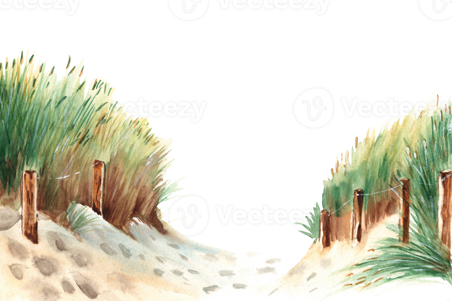 baltic hav strand med sand sanddyner, gräs och trä- insatser. hand dragen vattenfärg illustration. png