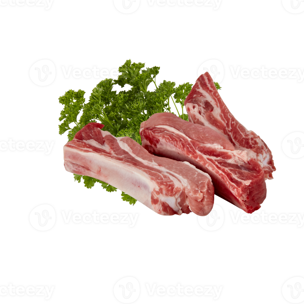 fresh meat on the bone Cut out, isolated transparent background png