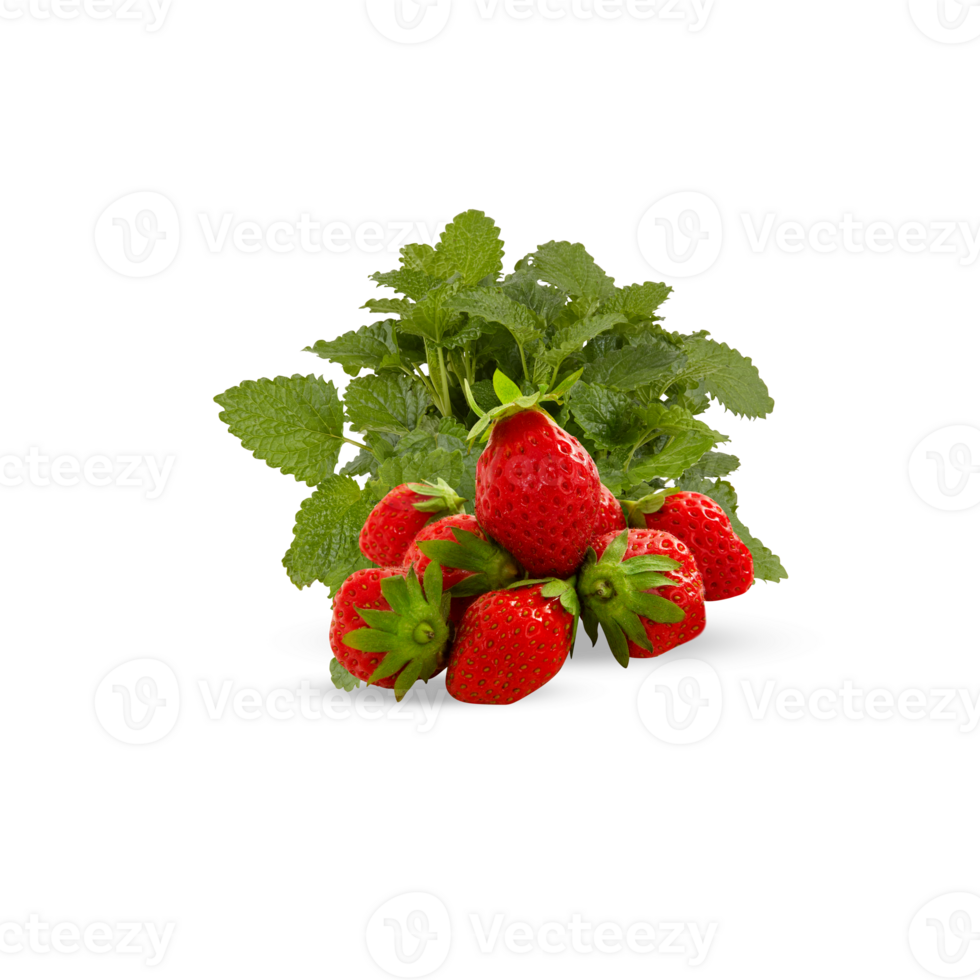 fresh strawberries with leaves Cut out, isolated transparent background png
