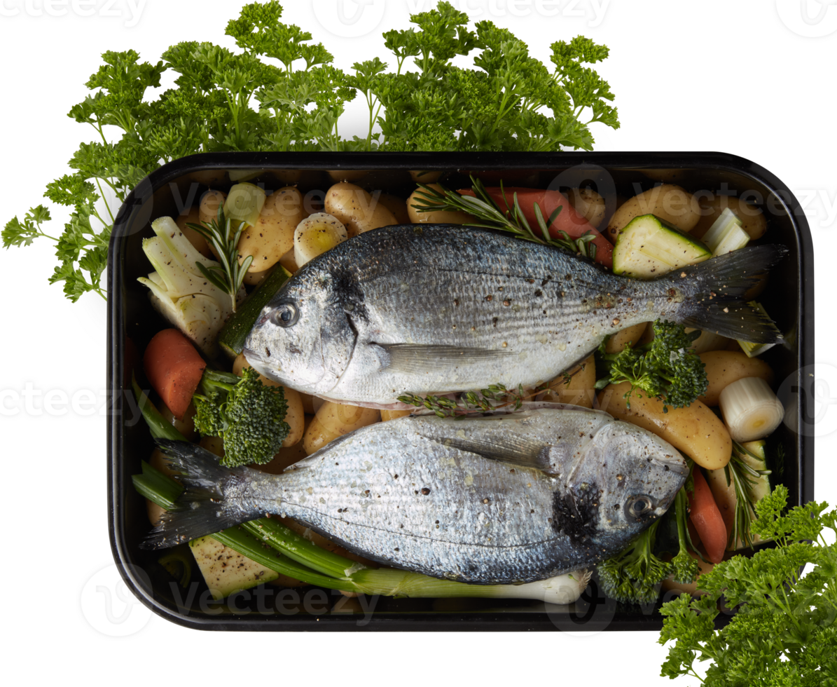 fresh sea fish Cut out, isolated transparent background png