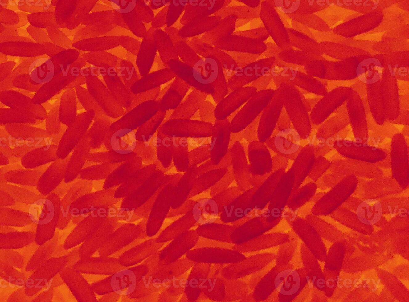 Unique real texture rough pattern image abstract background art photo