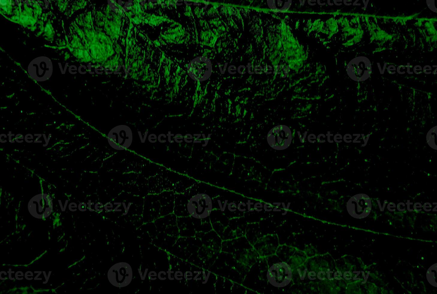 Unique real texture rough pattern image abstract background art photo