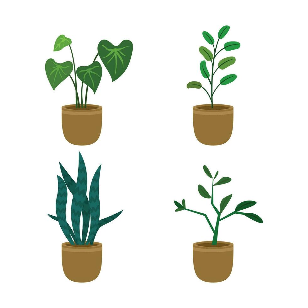 Houseplant collection premium vector illustration