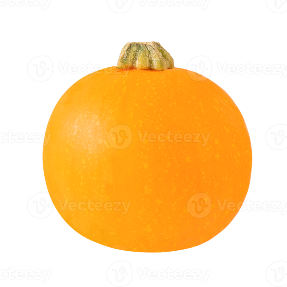 naranja calabaza aislado en transparente antecedentes con sombra y reflexión. valores foto png