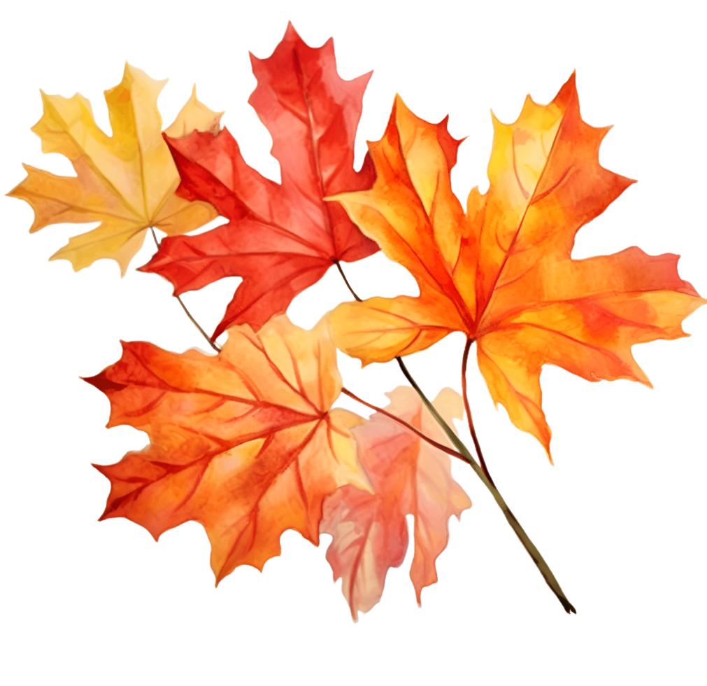 Fall Autumn Leaves Leaf Watercolor Clipart AI Generated png