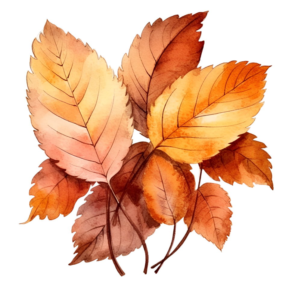 Fall Autumn Leaves Leaf Watercolor Clipart AI Generated png