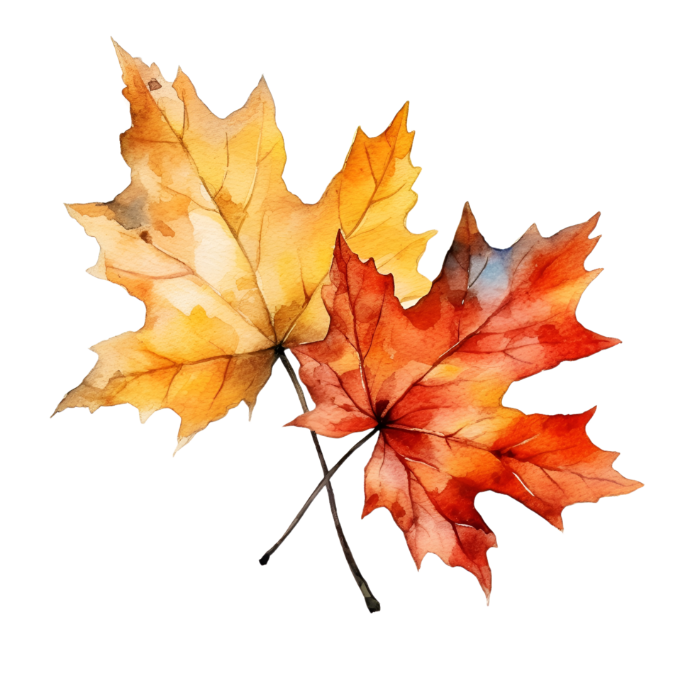 Fall Autumn Leaves Leaf Watercolor Clipart AI Generated png