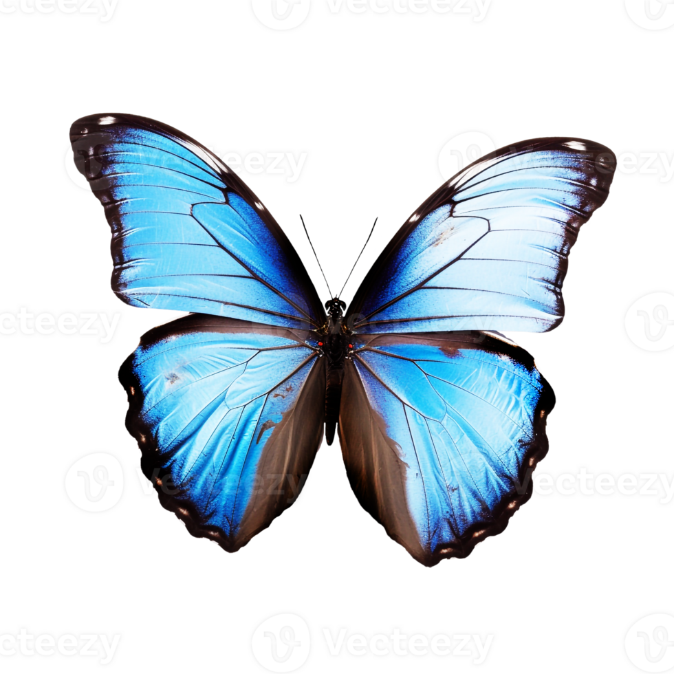 Beautiful butterfly isolated.Morpho.blue butterfly.Moth. AI Generated png