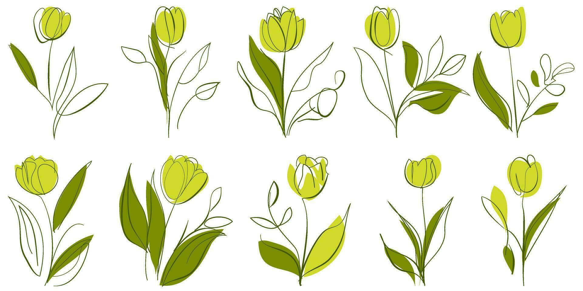 conjunto de tulipán flor mano dibujado formas y garabatear diseño elementos. exótico selva hojas, flores y plantas. resumen contemporáneo moderno de moda vector ilustración. Perfecto para carteles, pegatinas