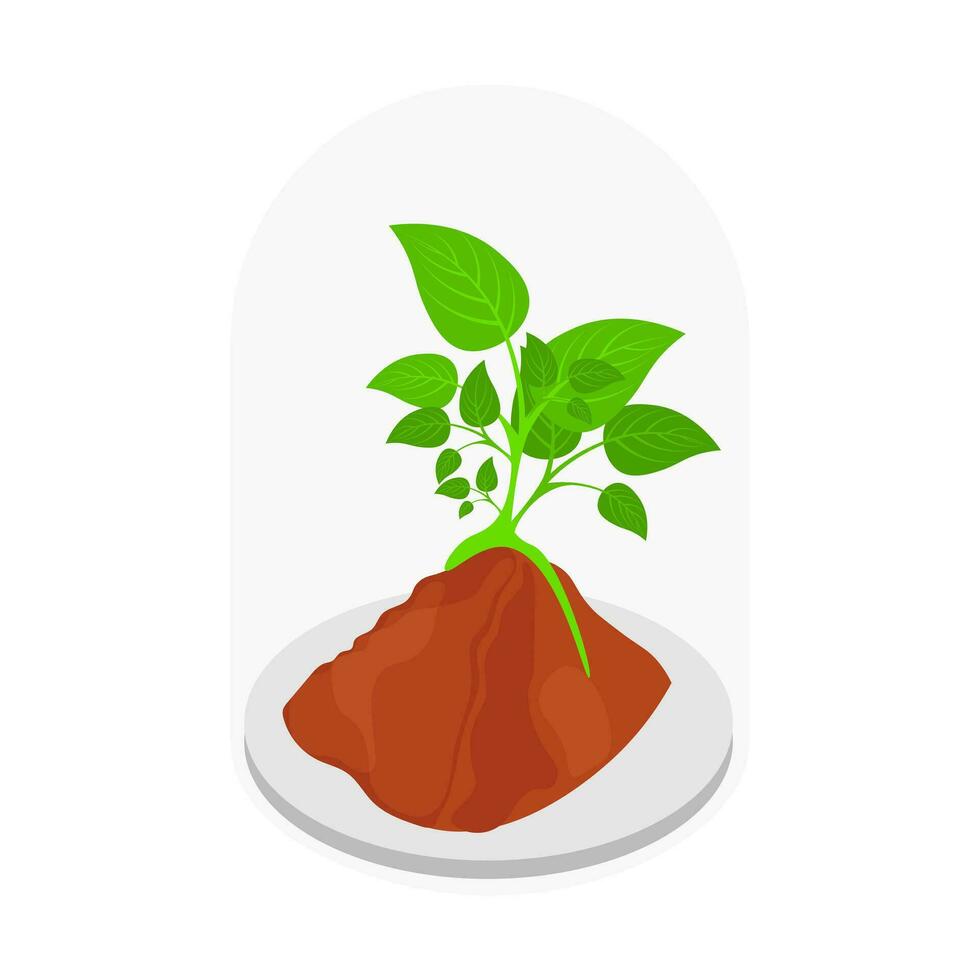 Terrarium plant icon in 3d style. vector