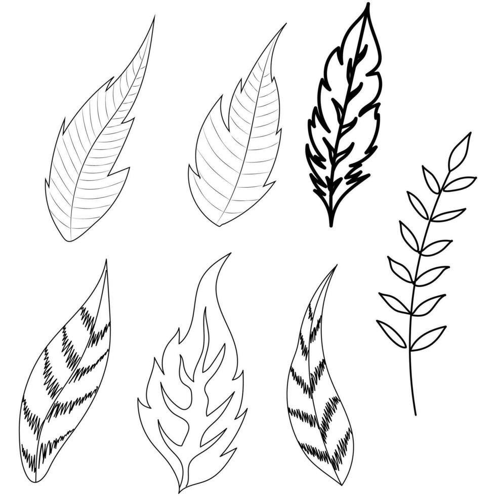 Black line art sets of feather in boho style. vector