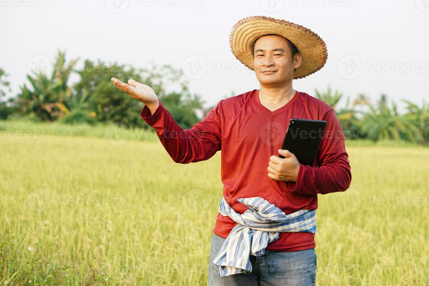 Handsome Asian farmer is at paddy field, holds smart tablet to inspect rice plants ,do research . Pose hand to present something. Concept, agriculture occupation. Smart farmer life style. photo