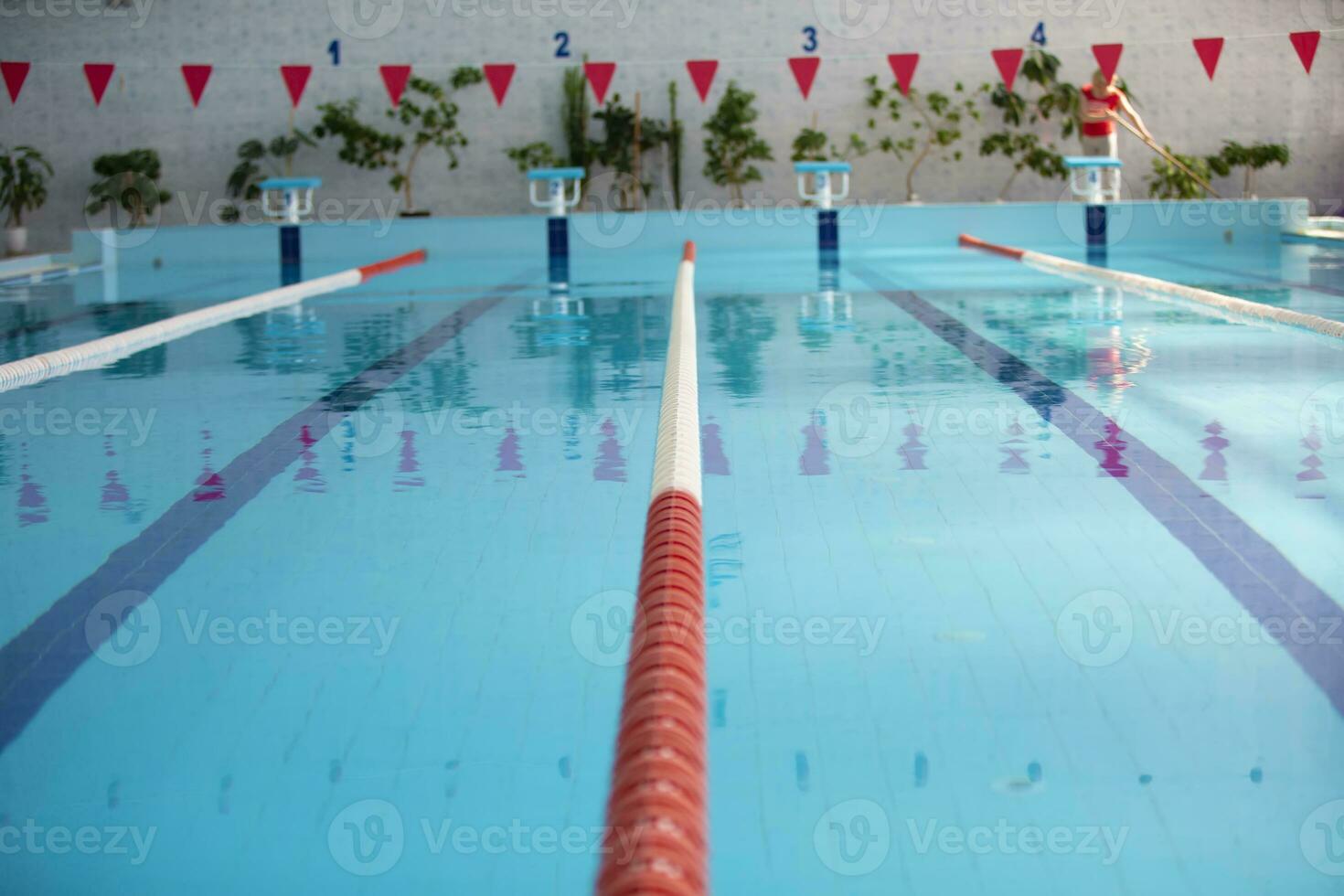 An empty sports pool with a red dividing path. Blue water in the swimming pool. photo