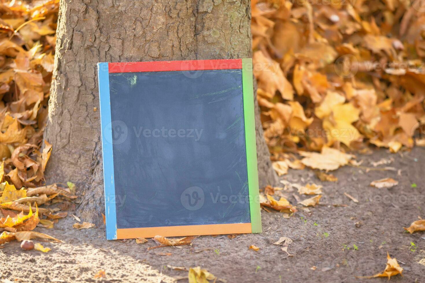 Against the background of an autumn park, a black board easel for inscriptions photo