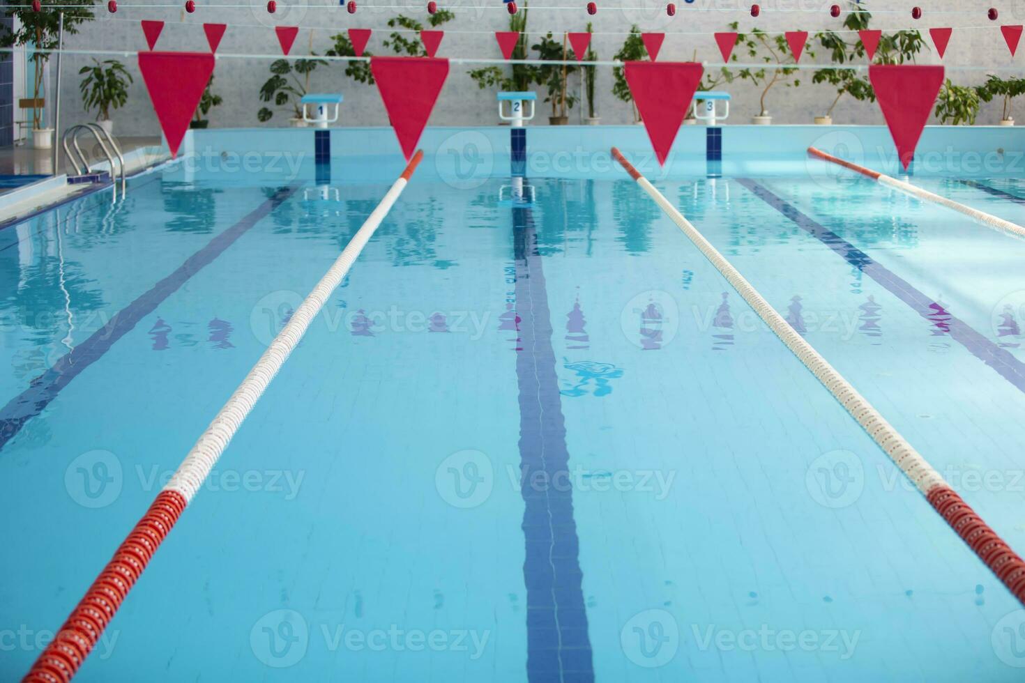 An empty sports pool with a red dividing path. Blue water in the swimming pool. photo