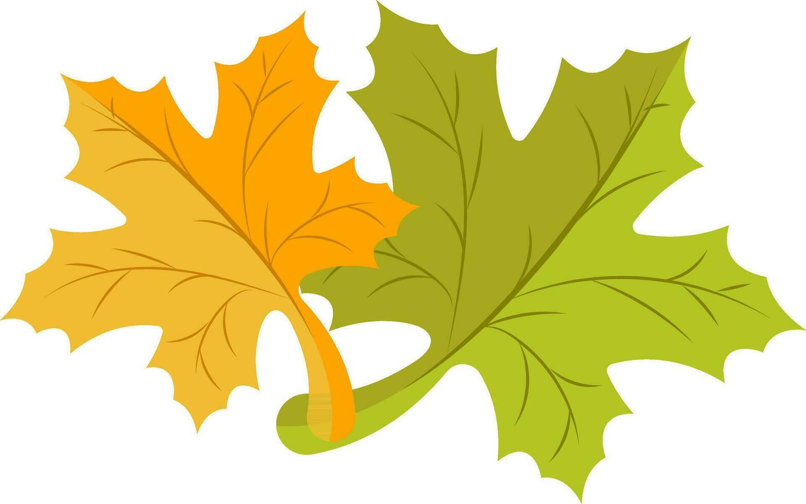 Maple leaves icon in orange and green color. vector